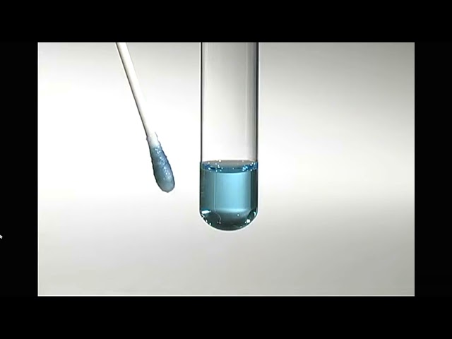 video công ty về Comparison of nylon flocked swabs and traditional fiber swabs