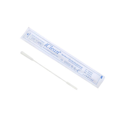 Vận chuyển tăm bông vô trùng dùng để lấy mẫu DNA động vật CM-FS813